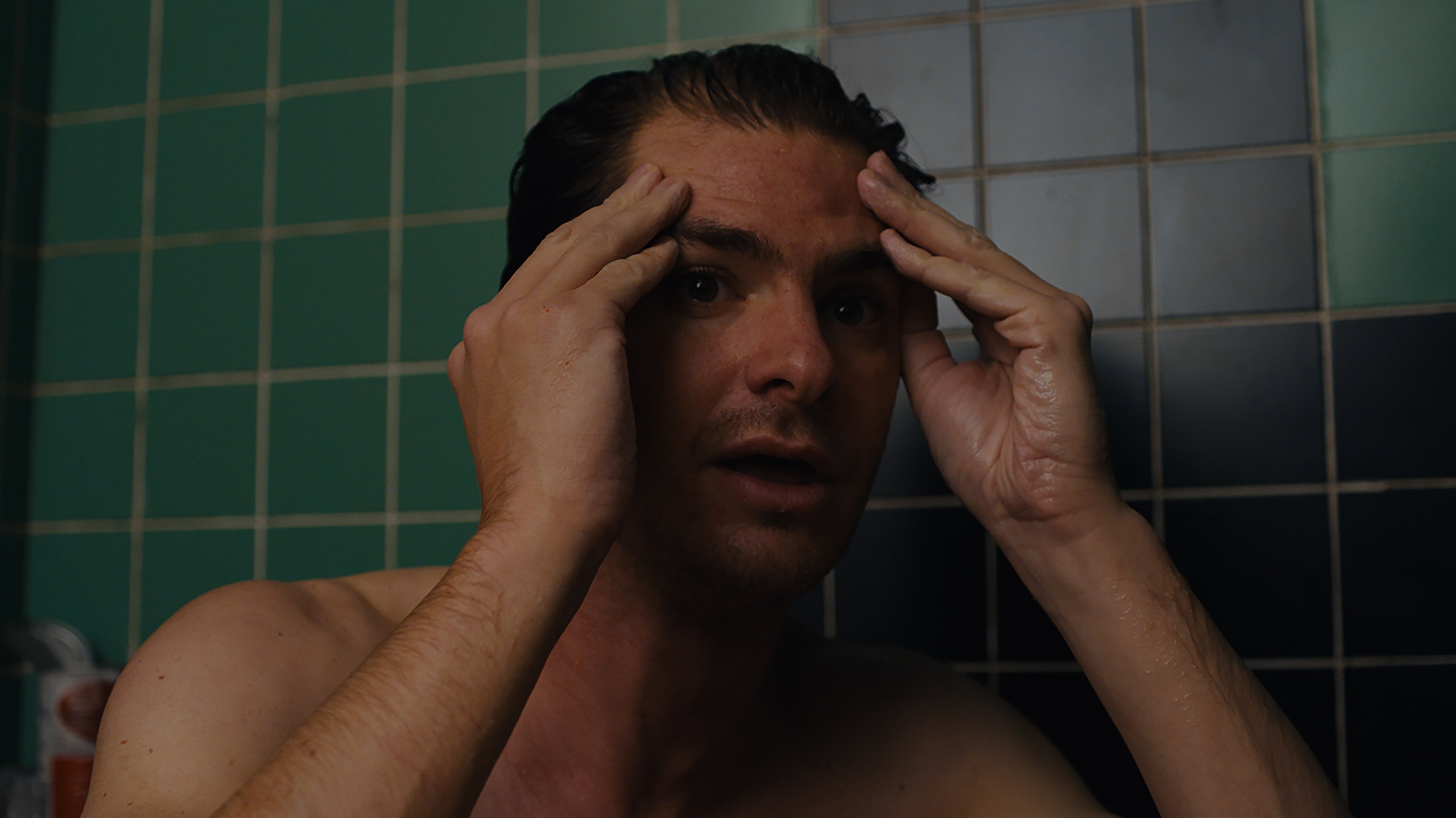 Under the Silver Lake (2018)