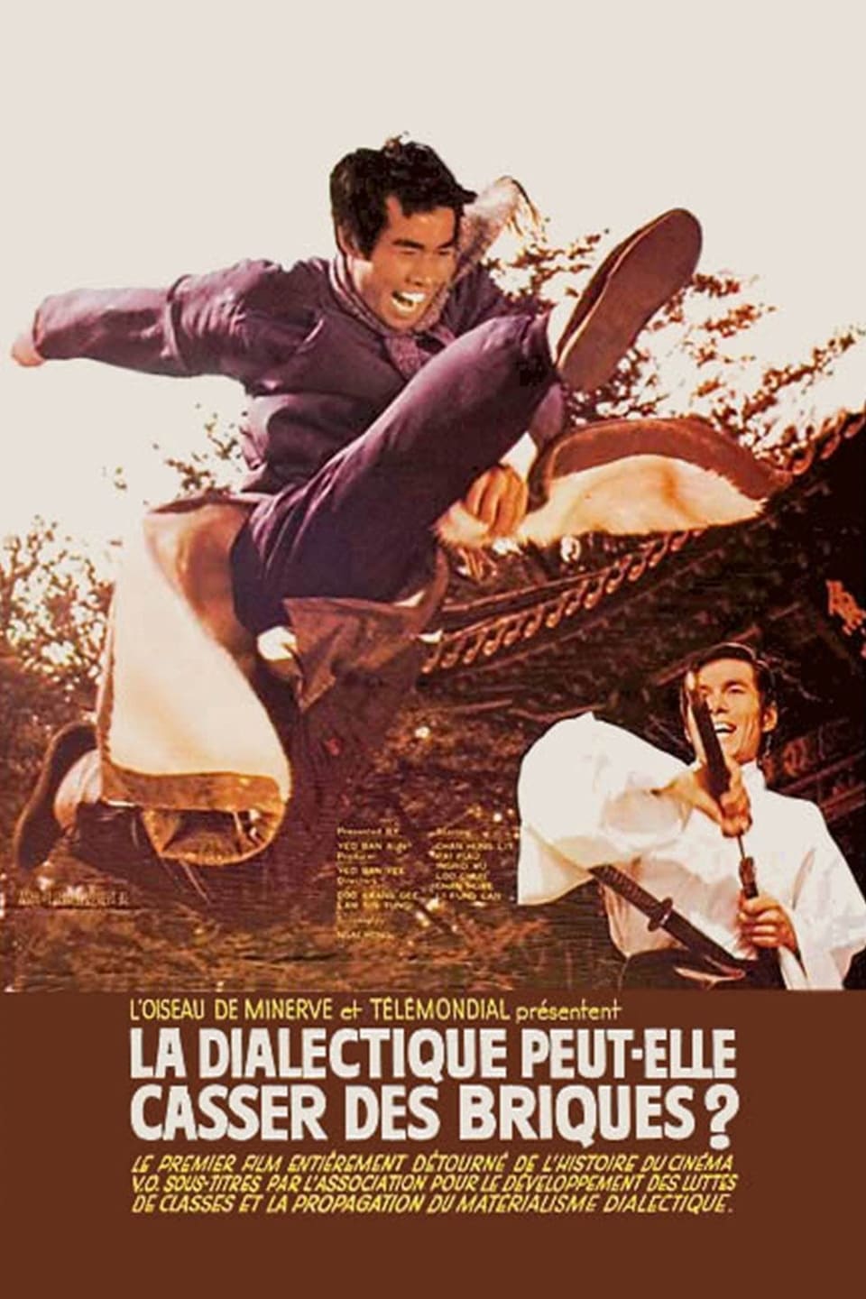 Affiche du film La dialectique peut-elle casser des briques ? 1673