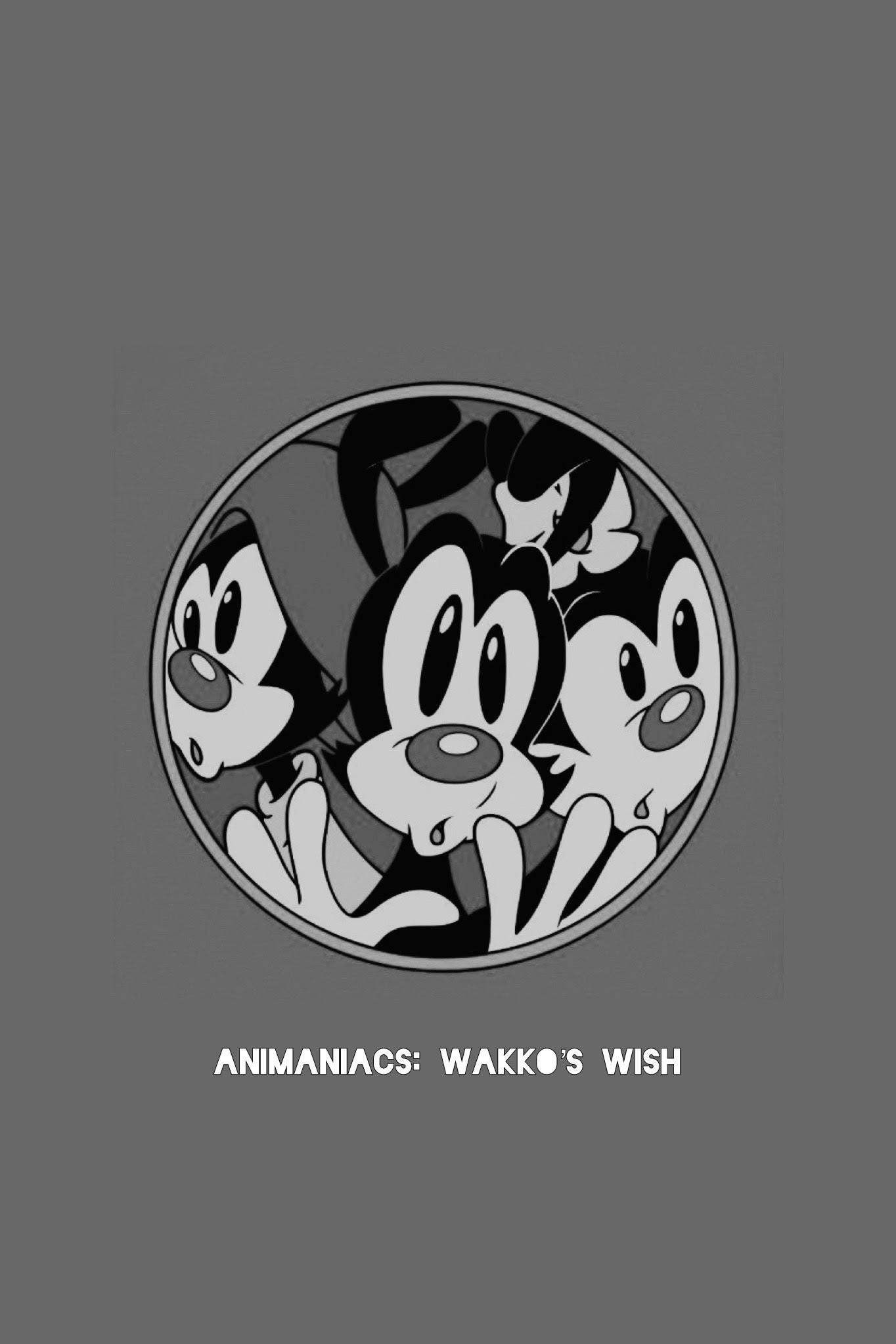 Animaniacs: Wakko's Wish