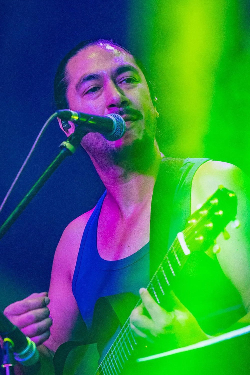 et billede af Hermes Villalobos