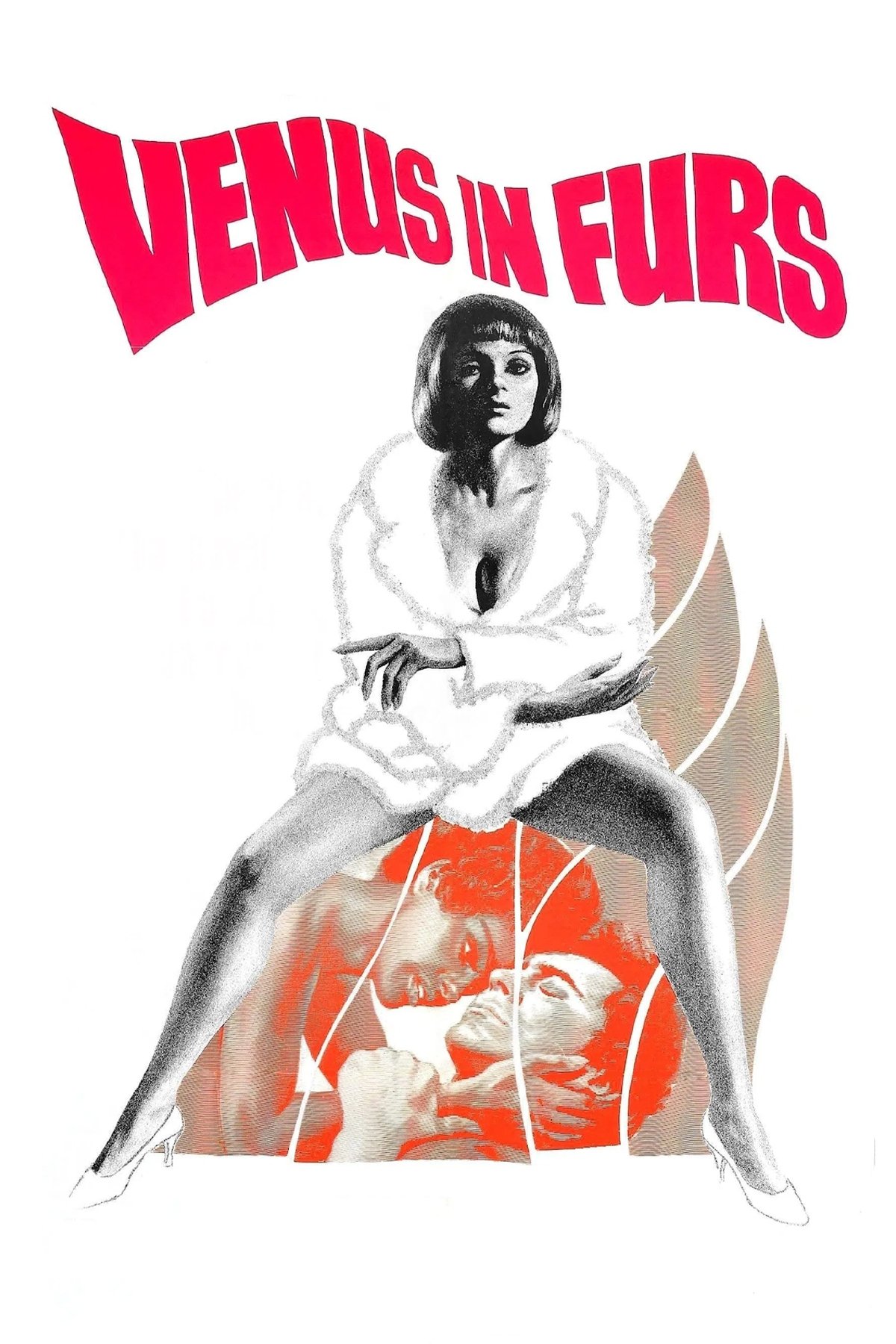 Venus in Furs