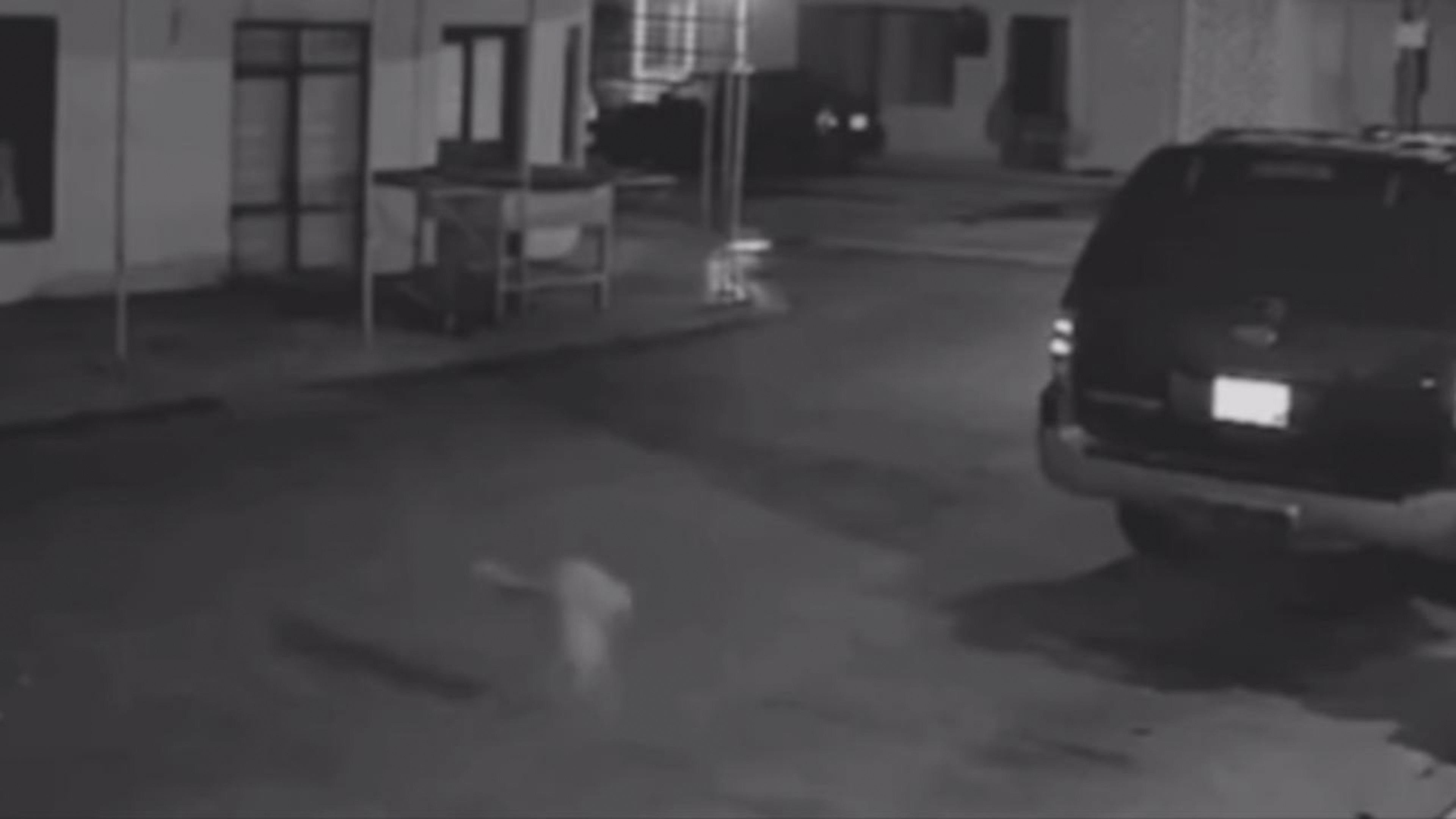 Paranormal Caught on Camera