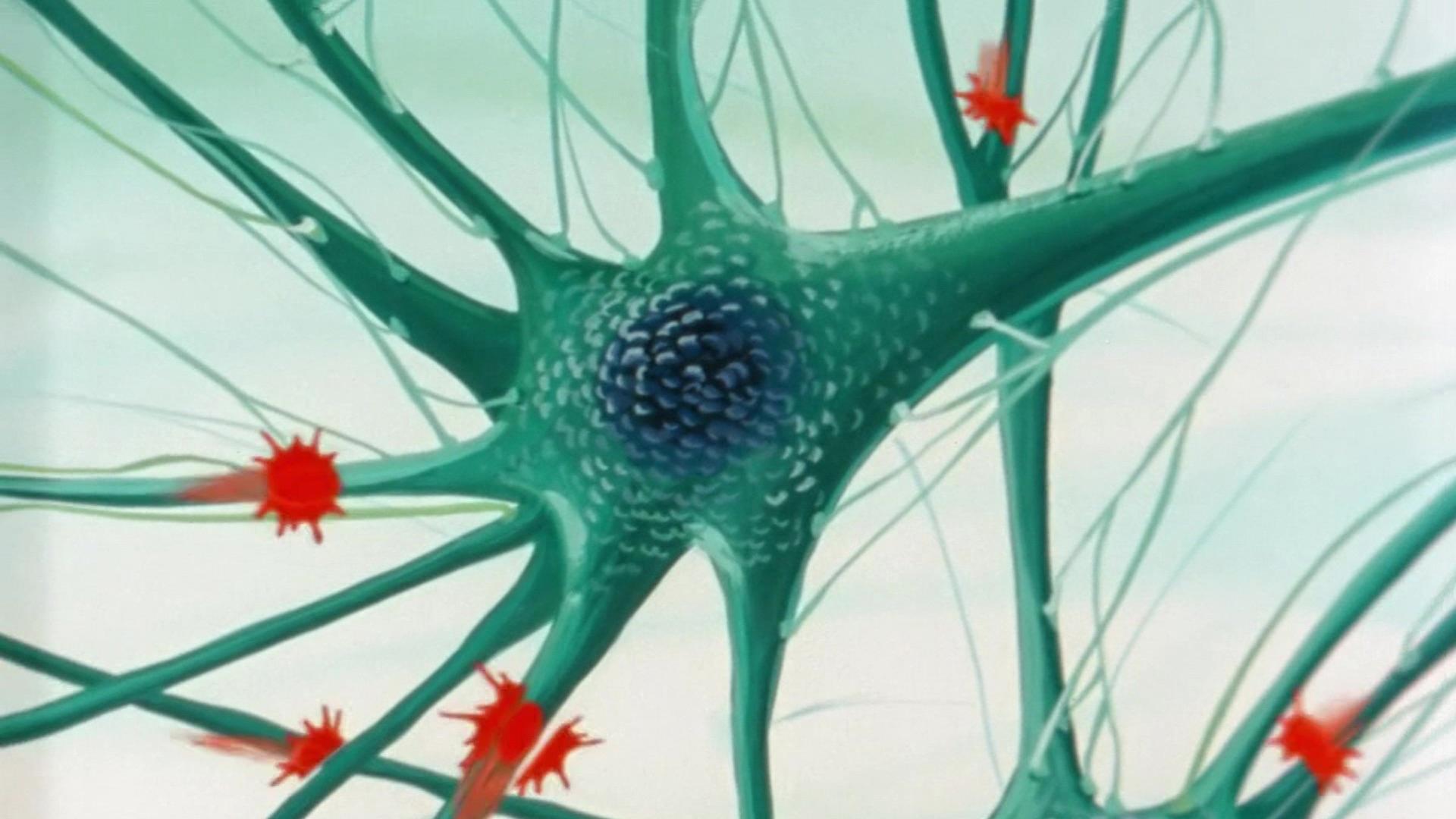Thumbnail for The Neurones Season 1 Episode 10