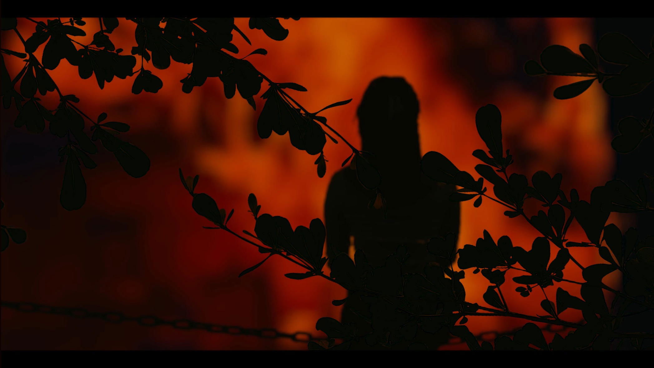 Imagem do Filme APOY