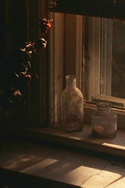 Windows onto Montebello Road