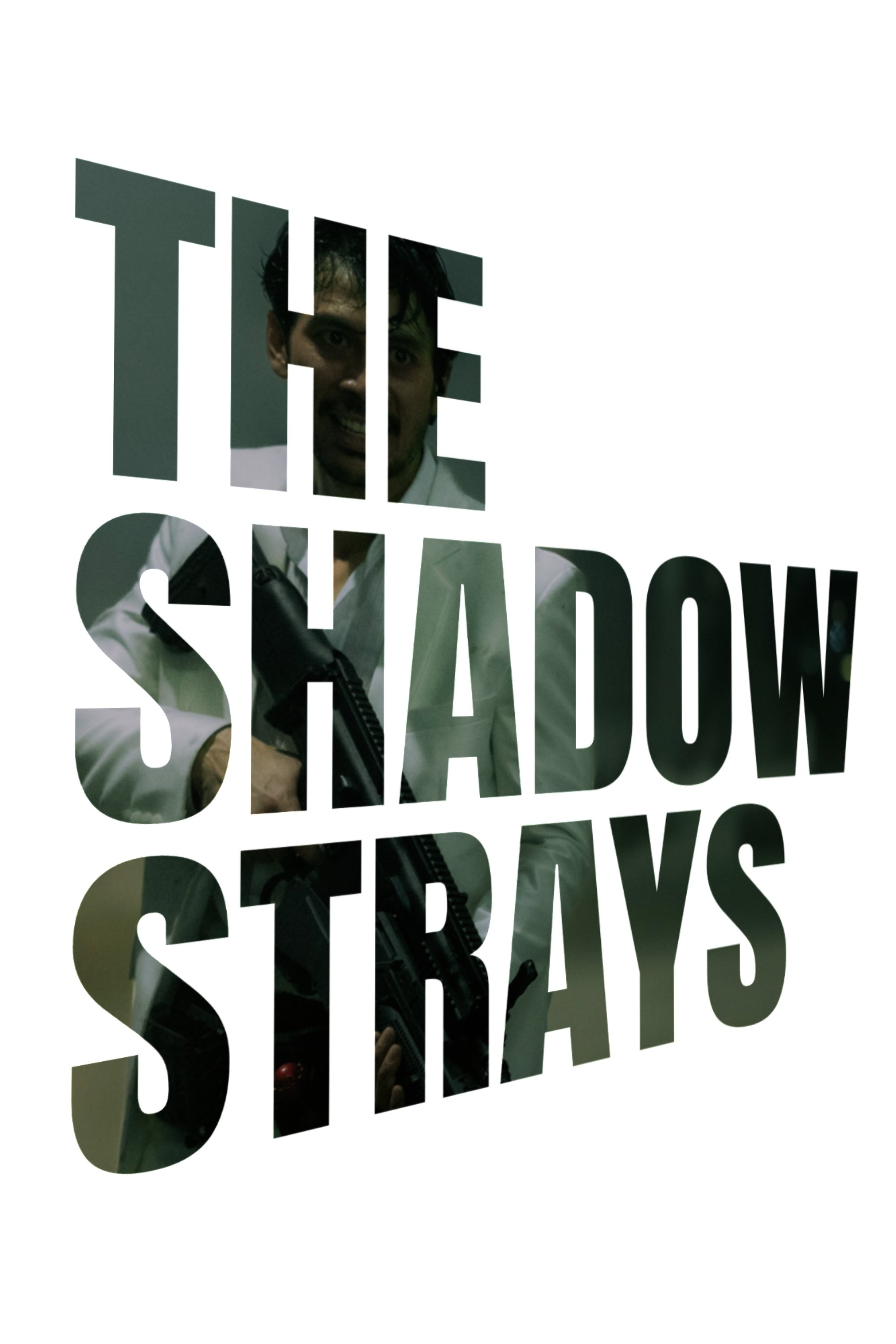 The Shadow Strays