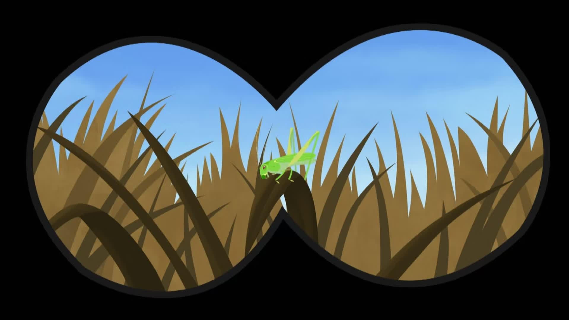 Wild Kratts