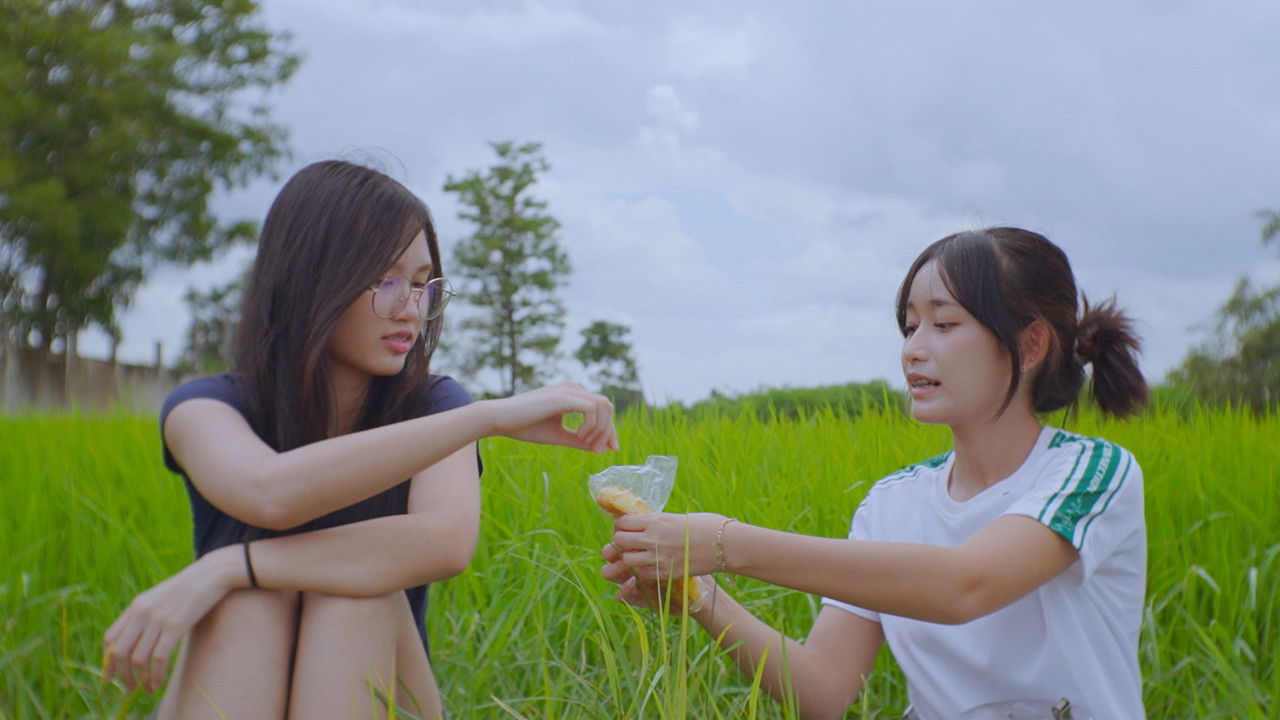 Imagem do Filme Letters After Rain