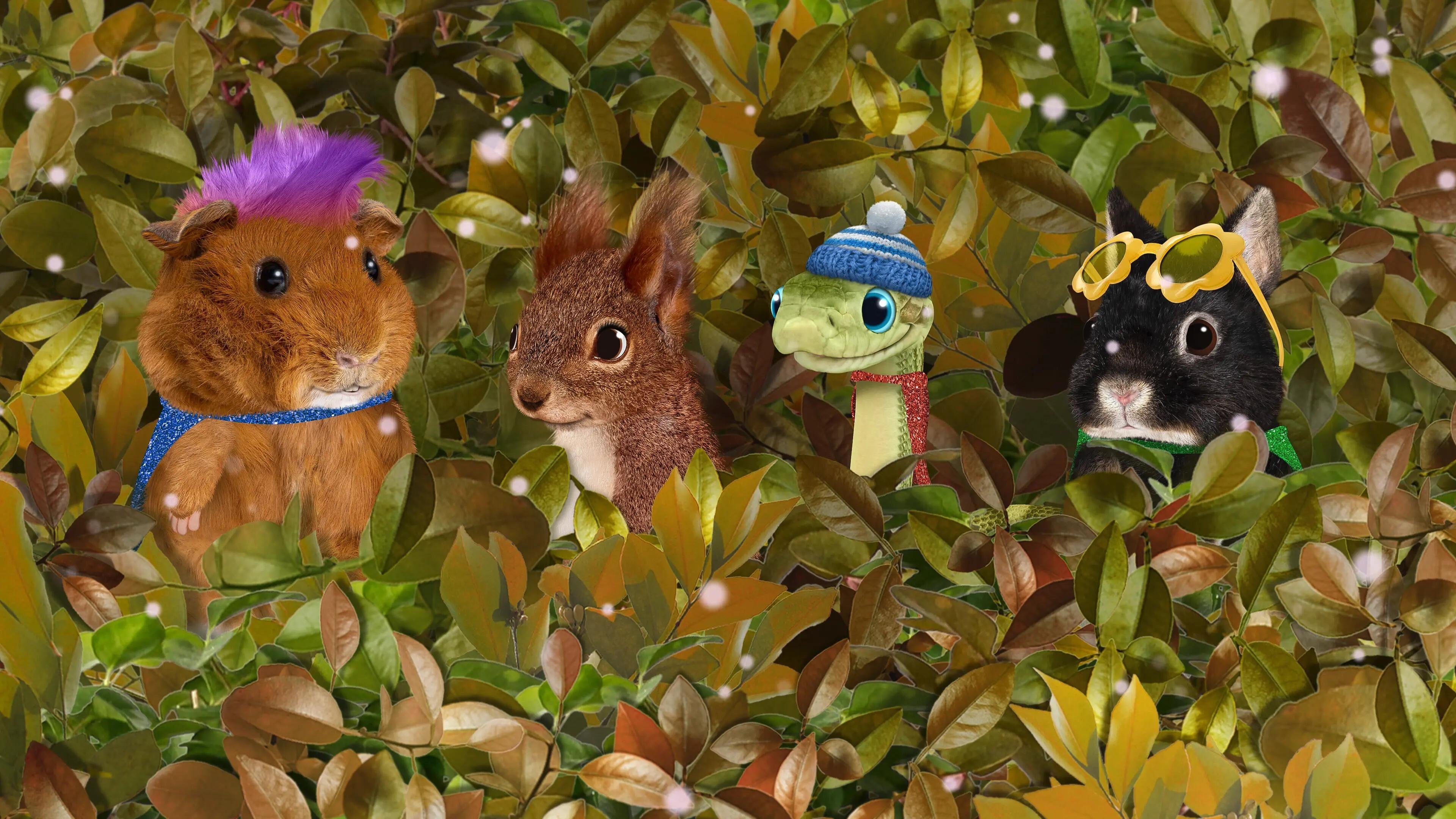 Thumbnail for Help the Red Squirrel! / Help the Dung Beetle! Season 1 Episode 13