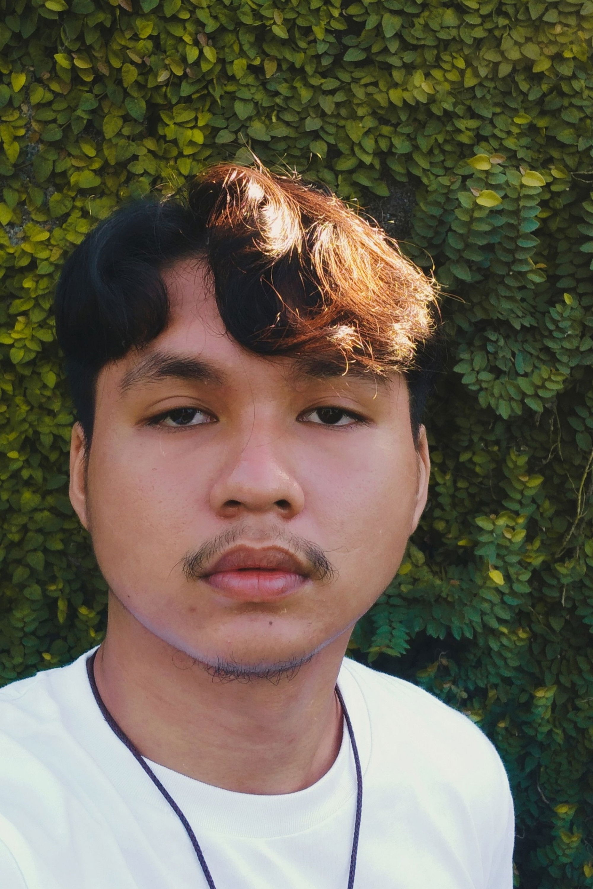 et billede af Robbie Capio