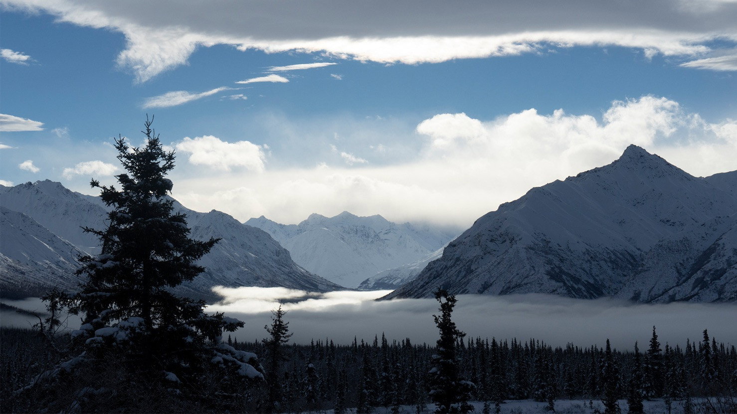 Life Below Zero: Next Generation S05E17 backdrop