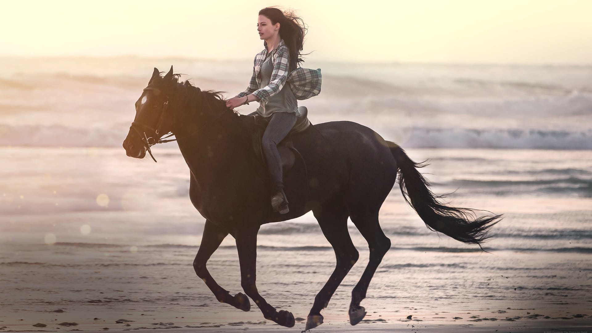 Black Beauty - Autobiografia di un cavallo