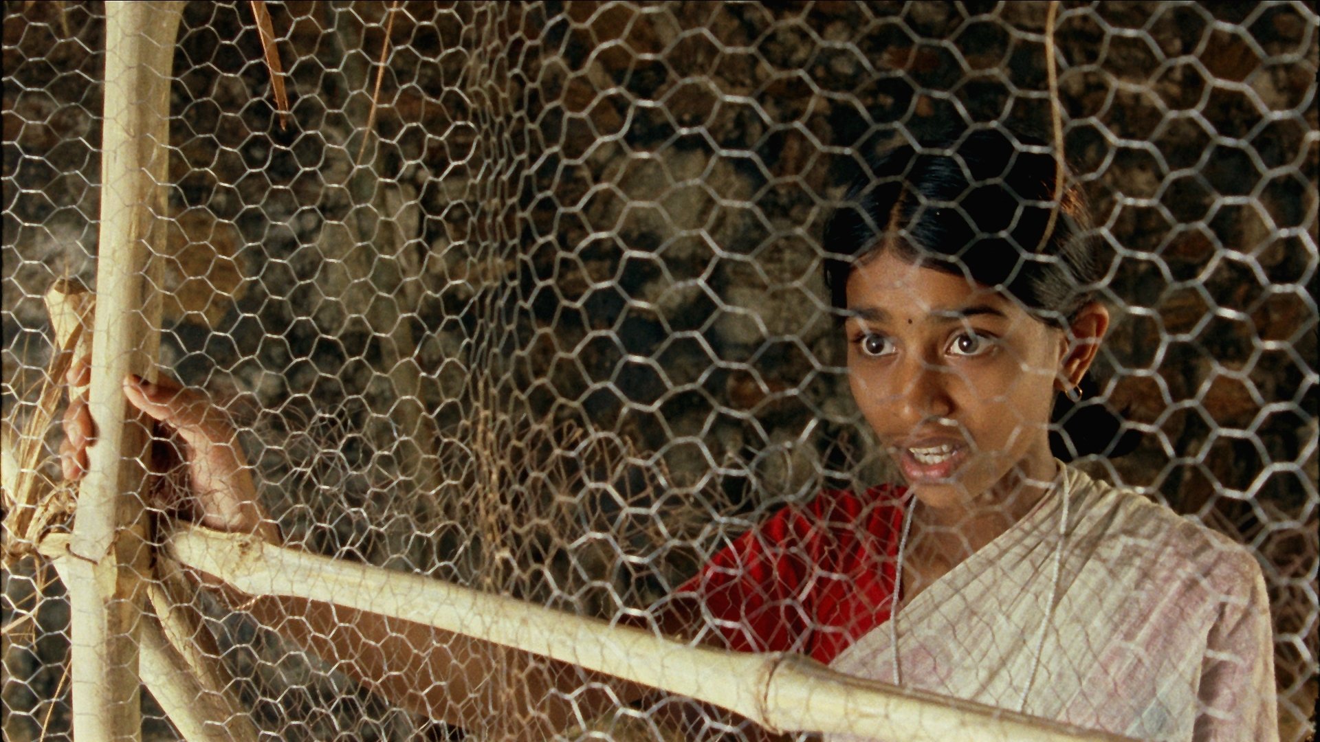 Vanaja (2006)