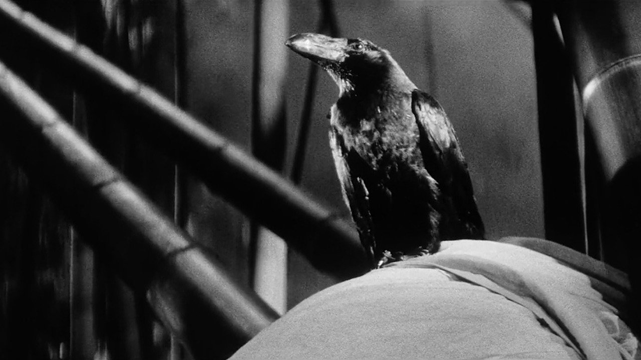 Kuroneko (1968)