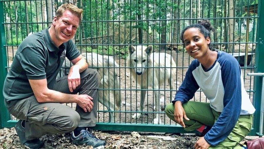 Pia und die wilden Tiere