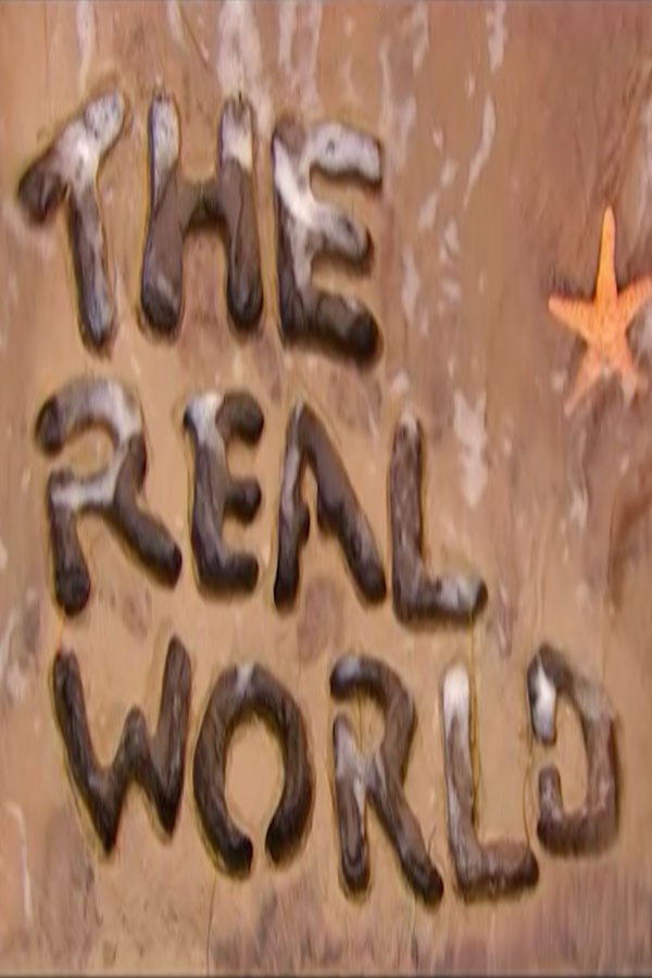The Real World - Season 14