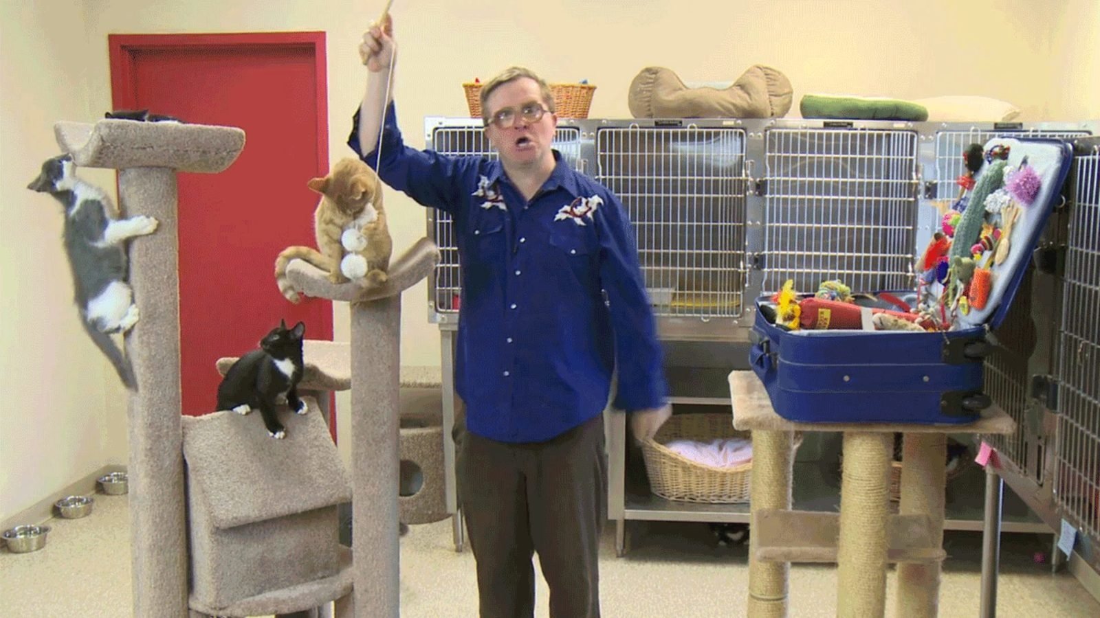 Kitty of the Week