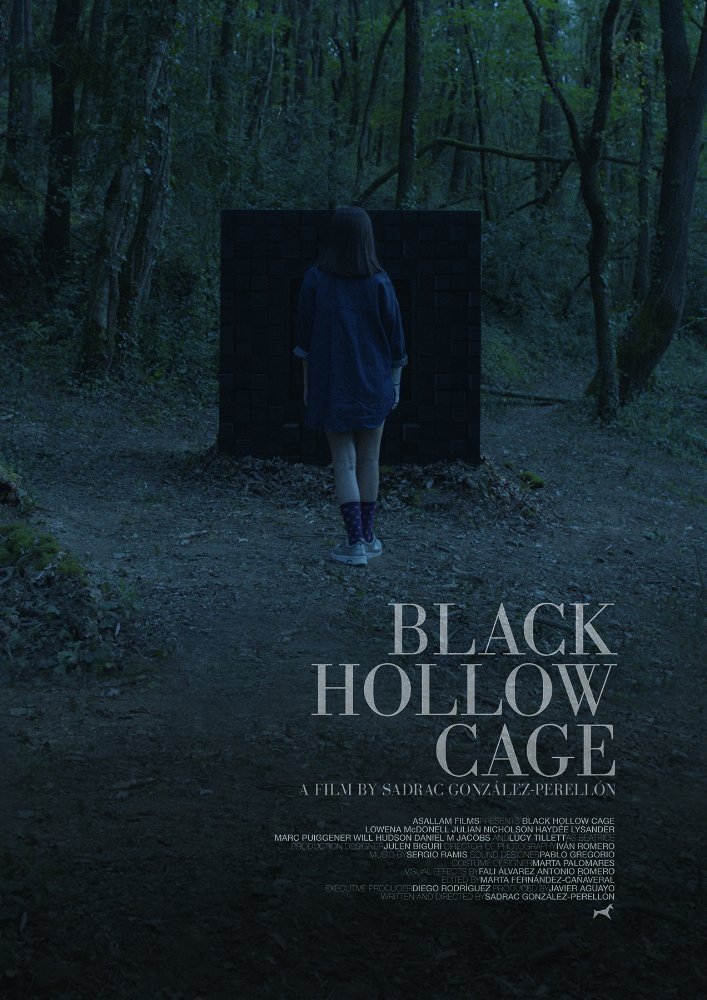 Black Hollow Cage