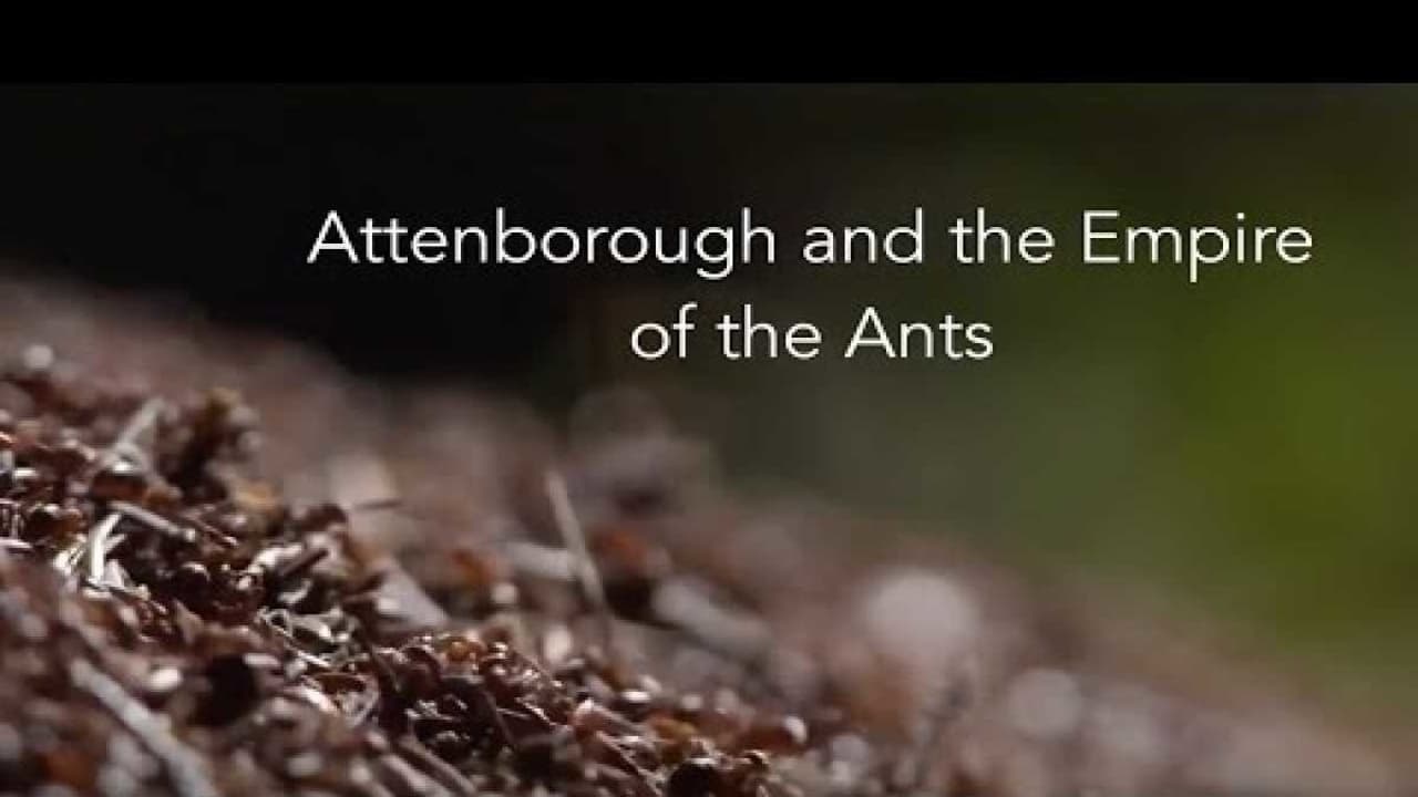 El imperio de las hormigas (2017)