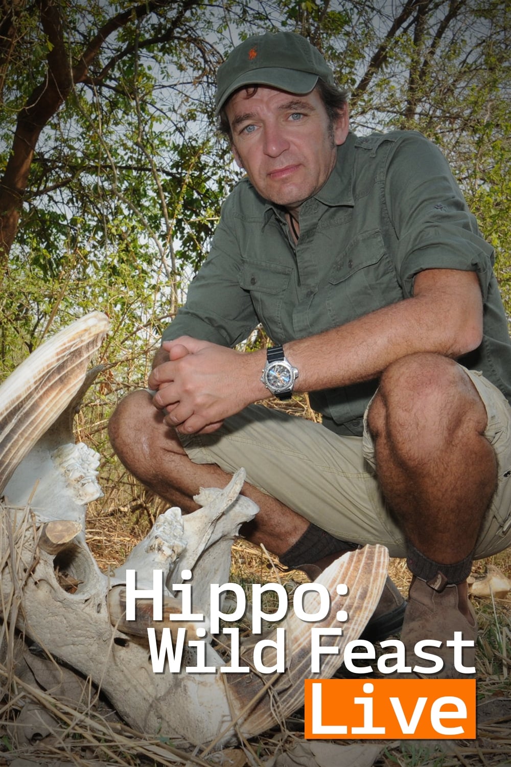 Hippo: Wild Feast Live TV Shows About Natural History