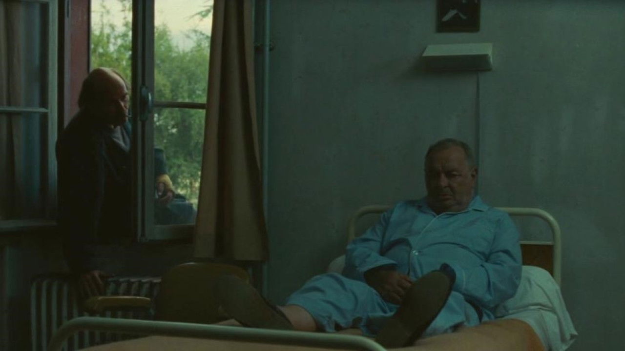 Mischka backdrop cover