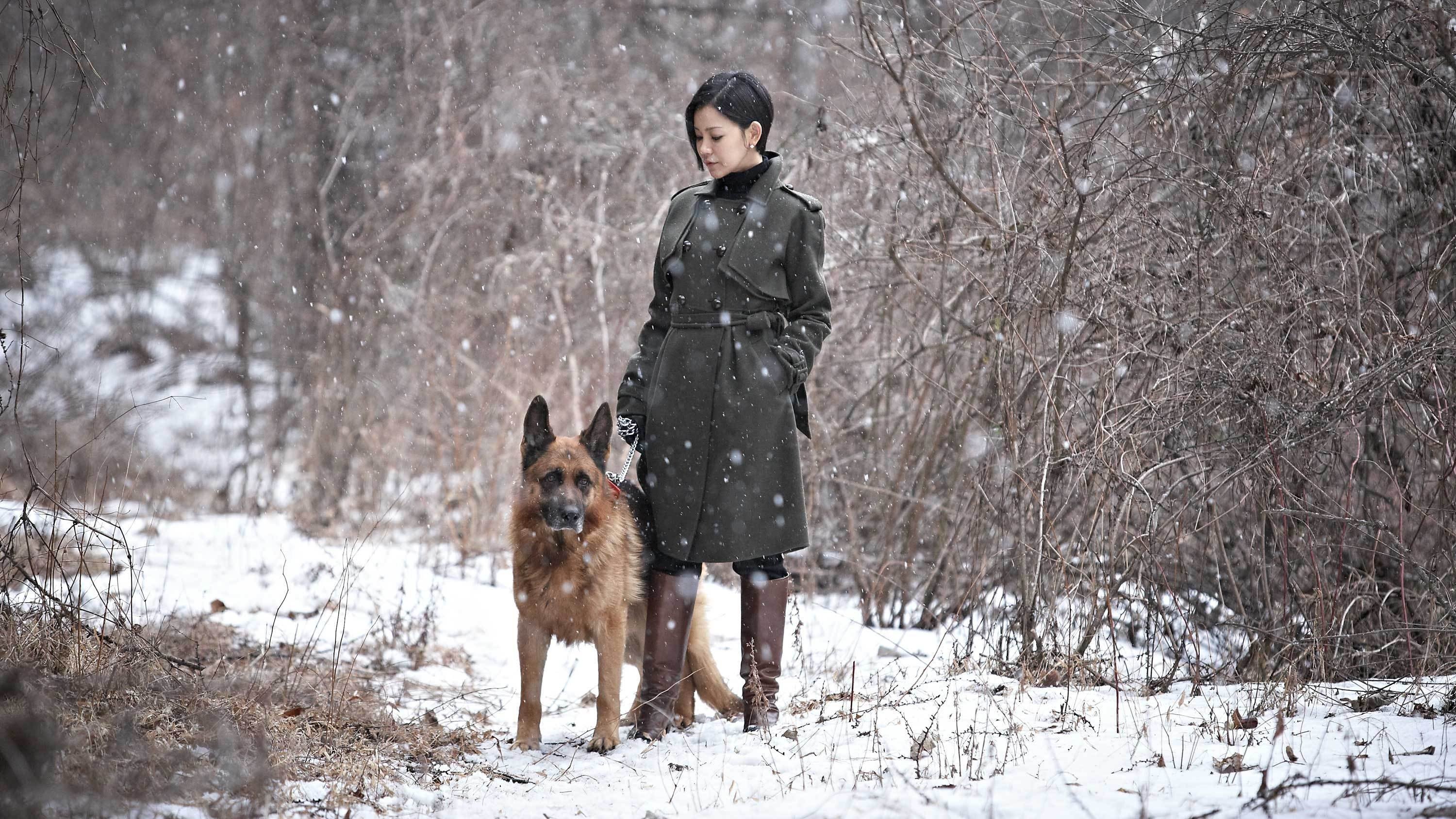 Venus in Furs (2012)