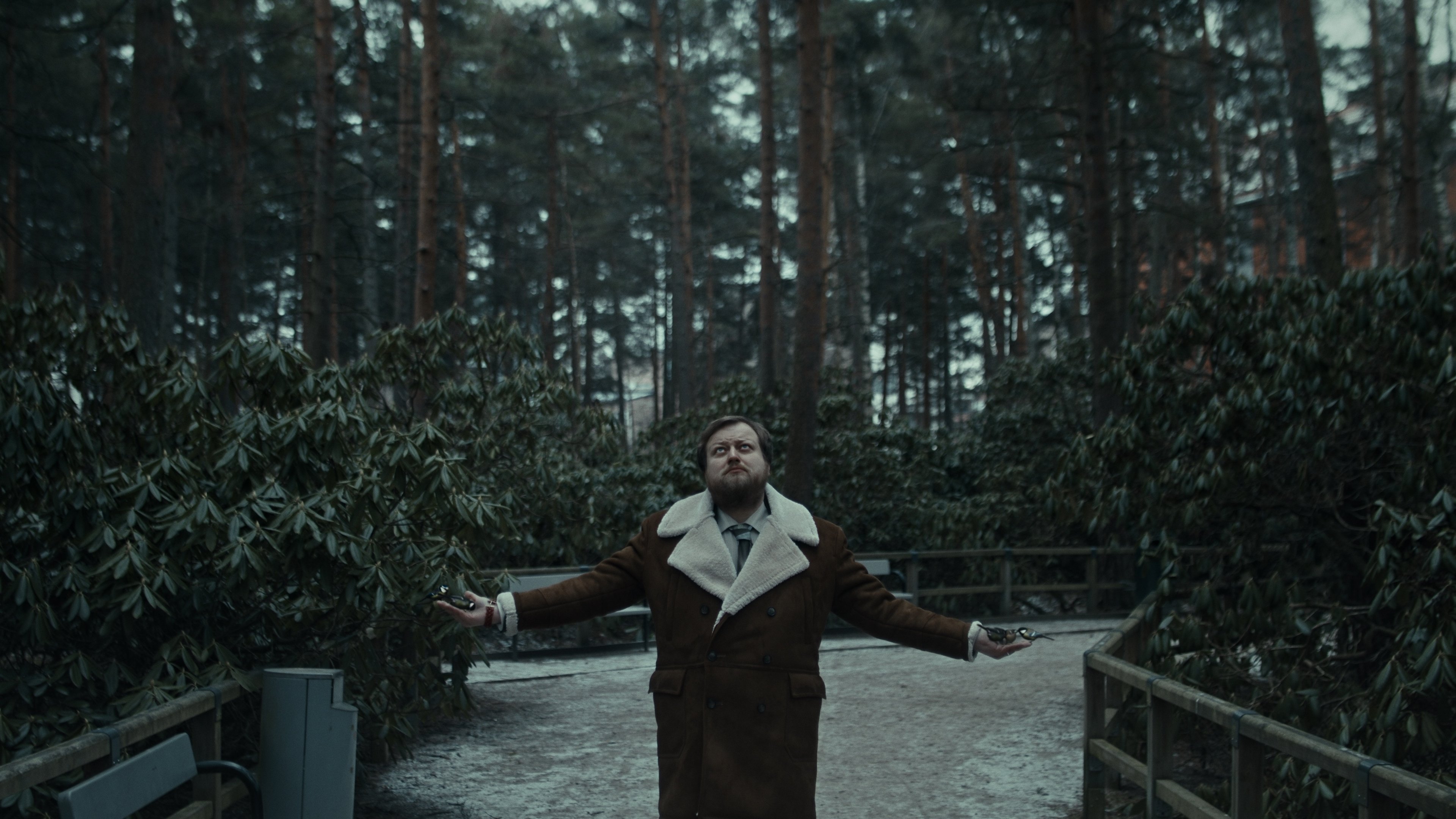 All Inclusive (2019)