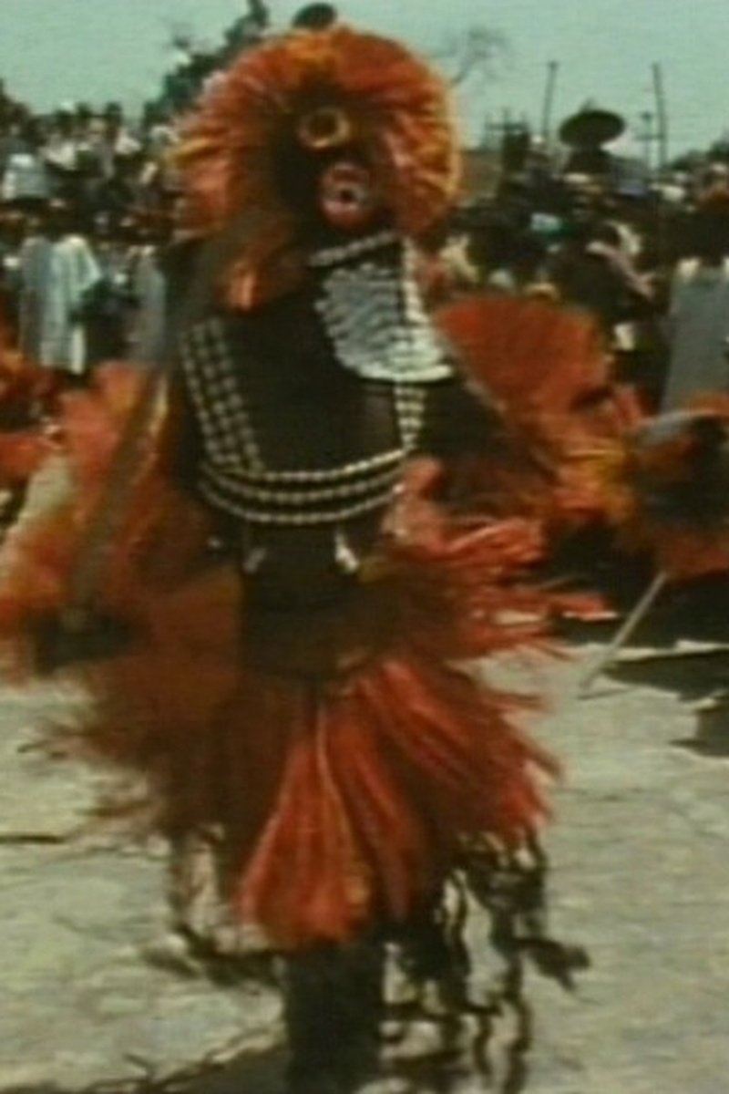 Poster for Tracking the Pale Fox: Studies on the Dogon