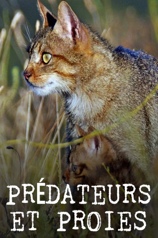 Pr&eacute;dateurs et proies - La faune de la p&eacute;ninsule Ib&eacute;rique