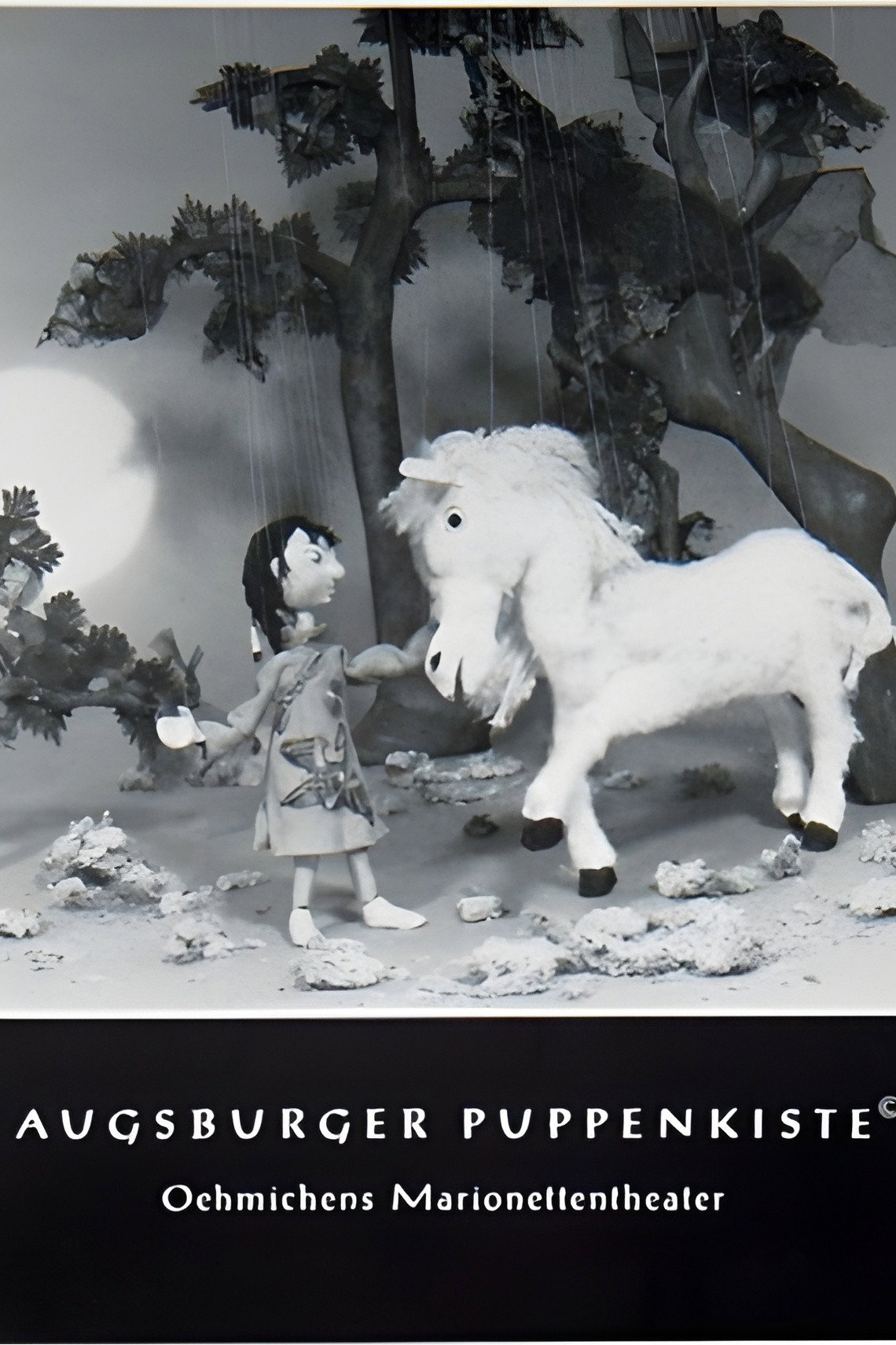 So Hi und das wei&szlig;e Pferd