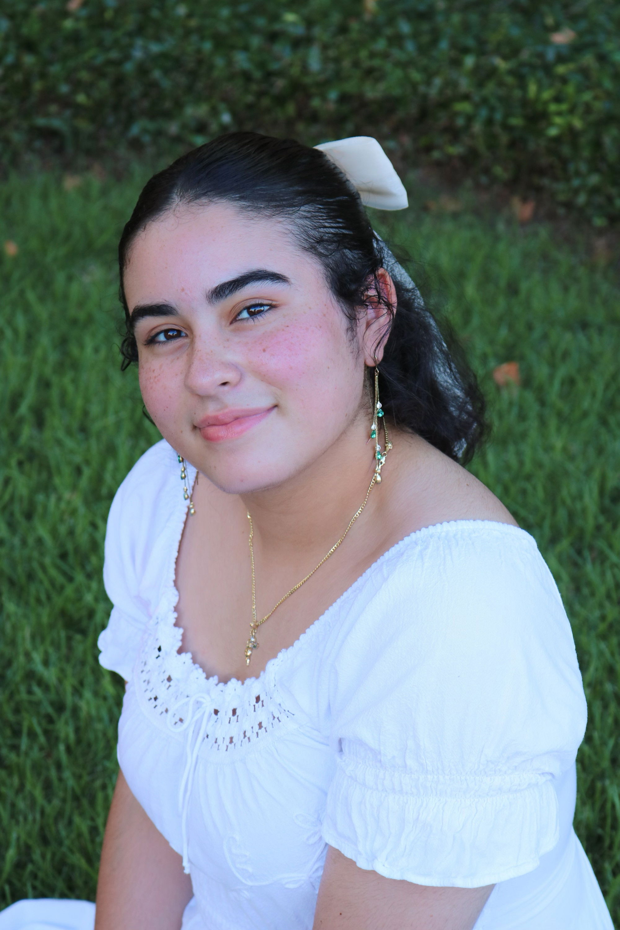 et billede af Genesis Gabriel