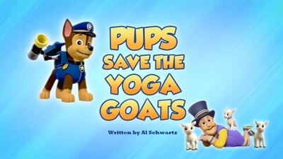 Episode 14 - I cuccioli salvano le caprette da yoga