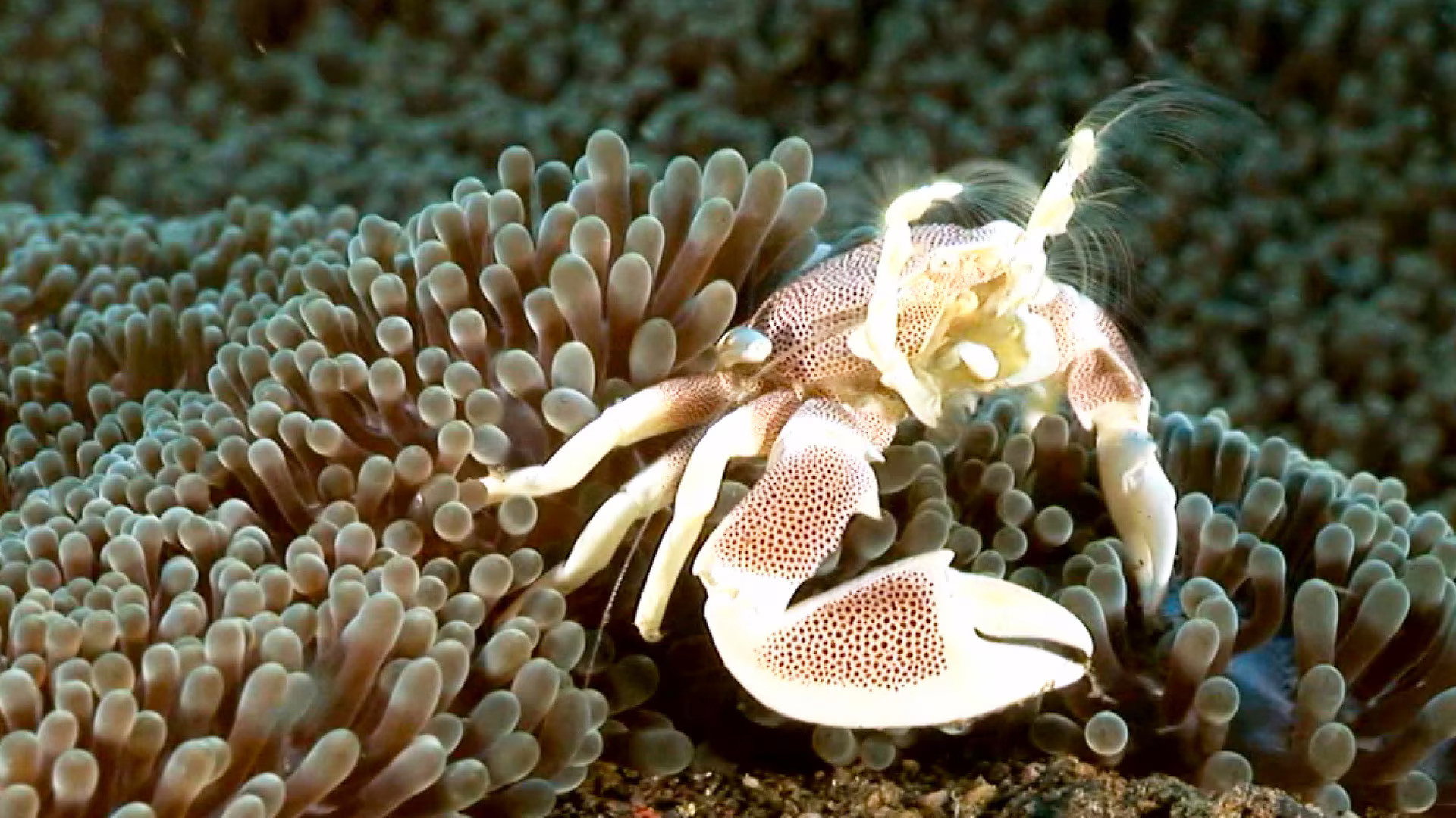 Earth Odyssey with Dylan Dreyer S06E15 backdrop