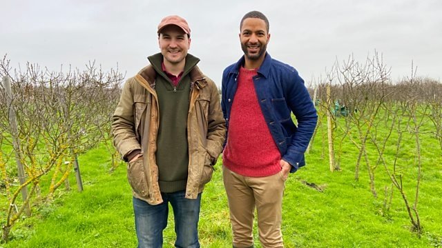 Countryfile 33x7