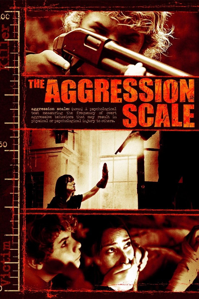 The Aggression Scale