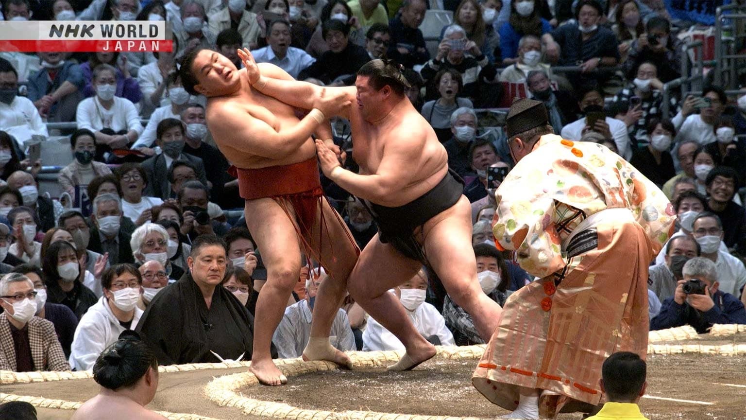 GRAND SUMO Highlights Staffel 16 :Folge 1 