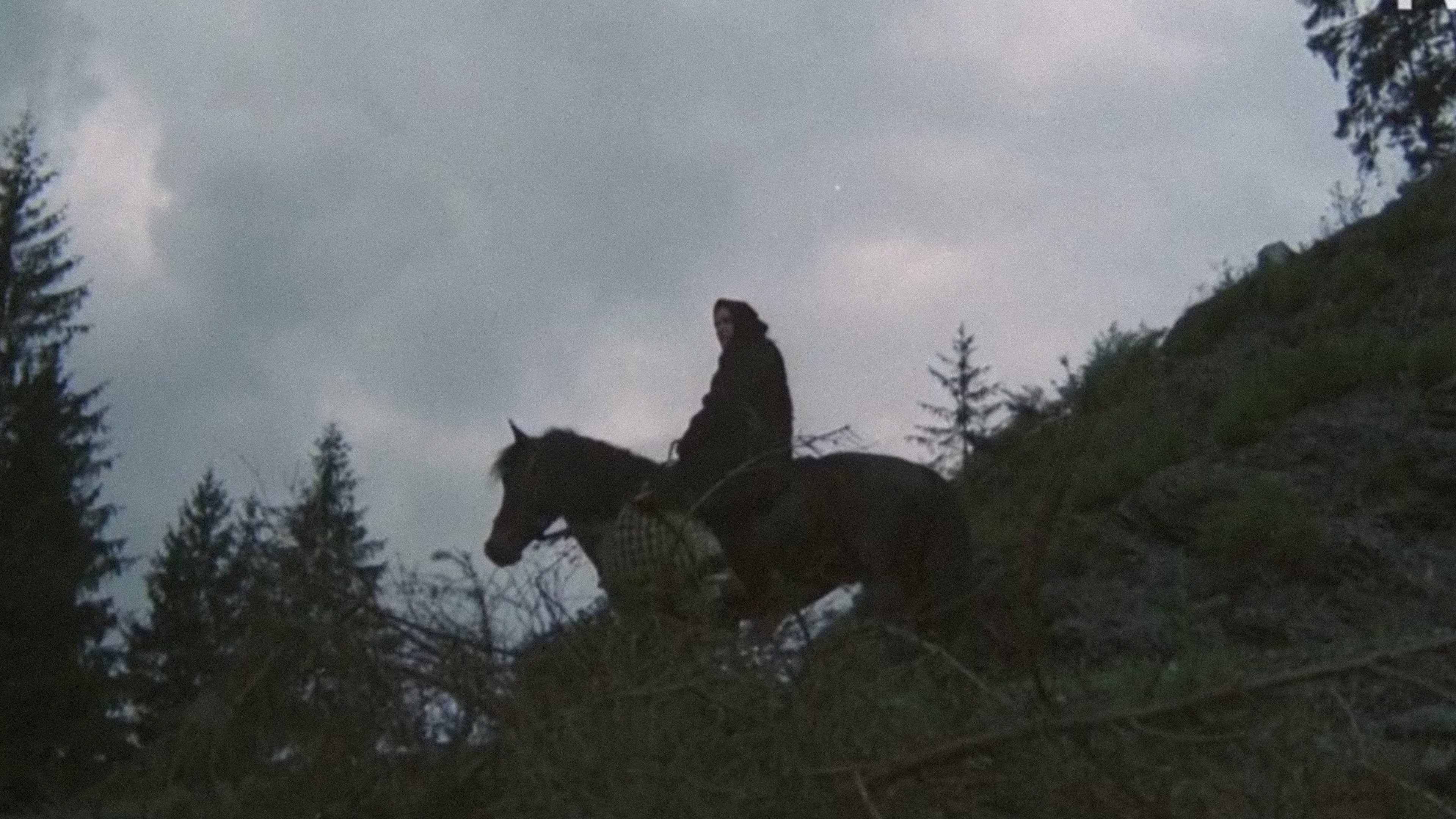 Imagem do Filme Baltagul