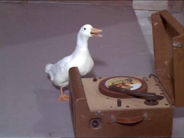 Green Acres