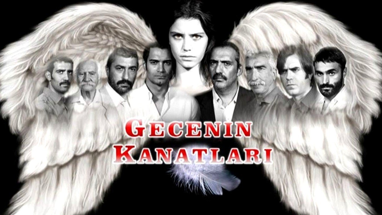 Wings of the Night