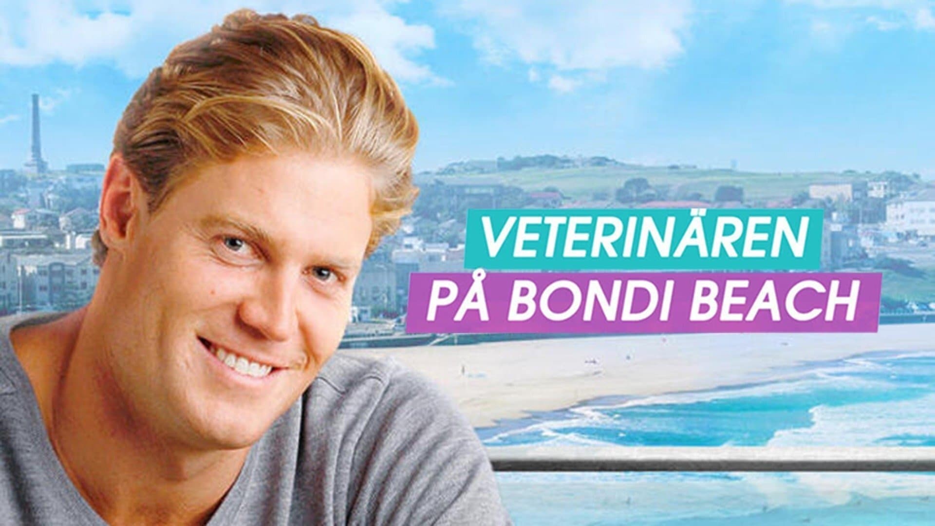 Bondi Vet