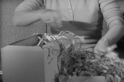 Alfred Hitchcock Presents