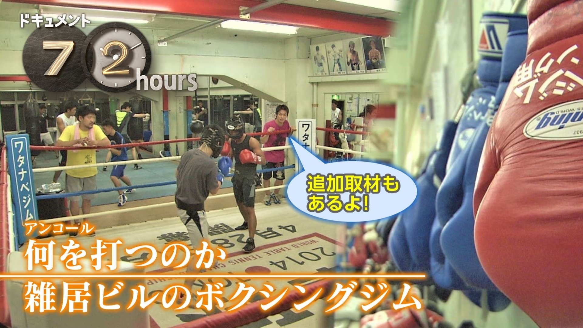 Episode 29