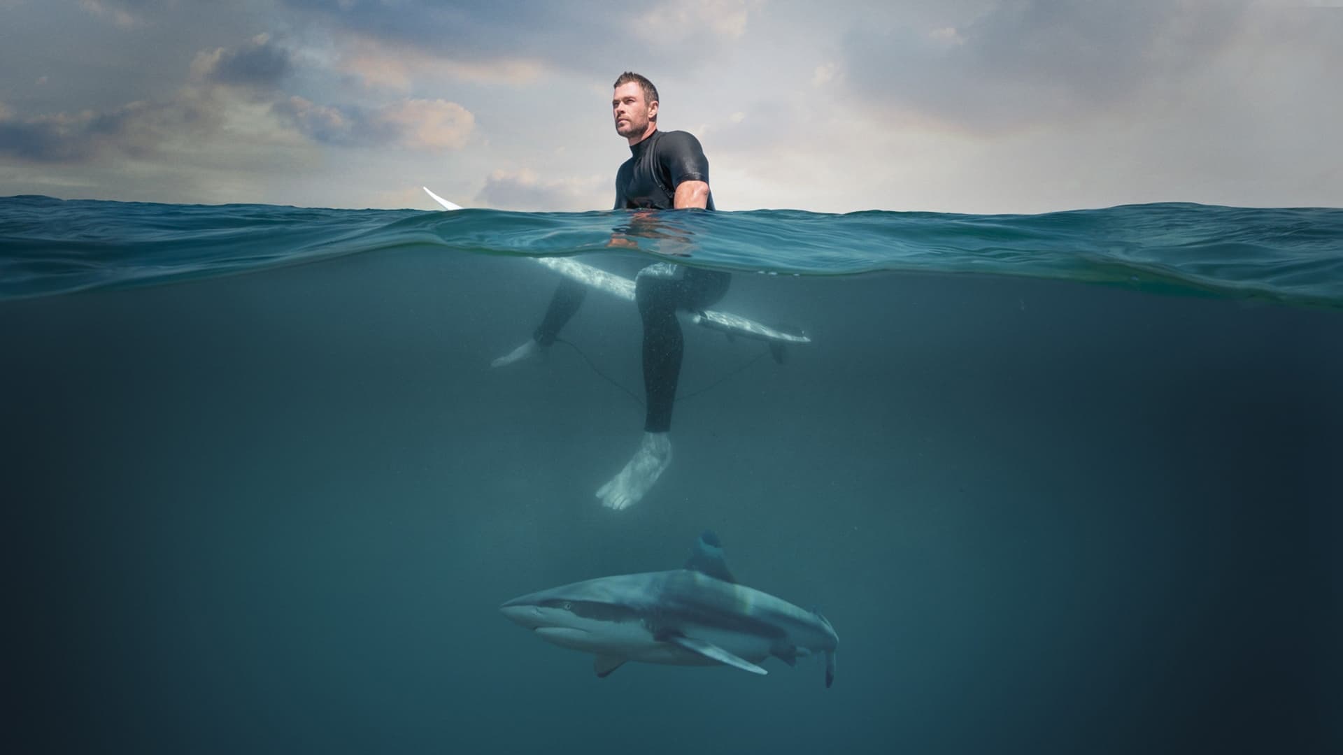 Shark Beach with Chris Hemsworth 2021 1080p Full Online