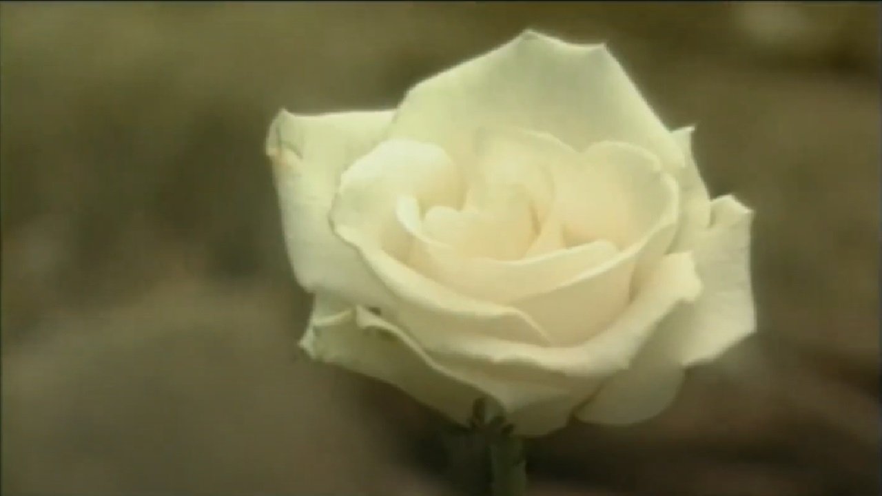 Thumbnail for Nightmare Flower Season 1 Episode 9