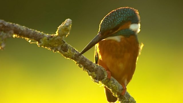 Countryfile 33x20