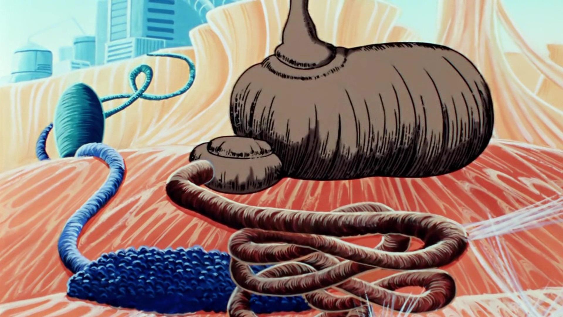 Thumbnail for The Digestion Season 1 Episode 15