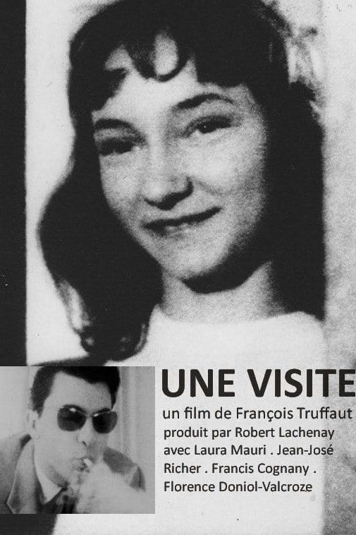 Affiche du film Une Visite 96402