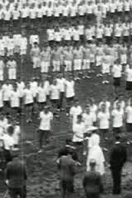 Legersport demonstratie