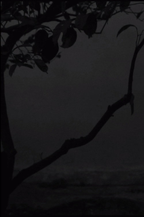 Poster for The Seagull