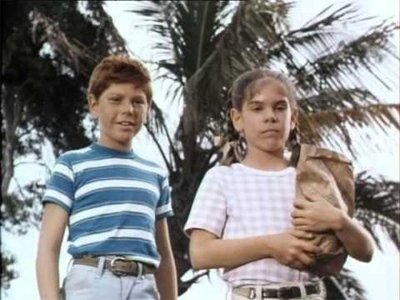 Flipper le dauphin - Les nouveaux amis de Flipper [1/2]
